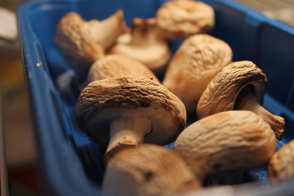 Oh hooray. Mushrooms are my favorite.